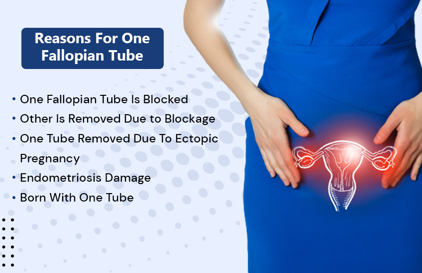 Blocked Fallopian Tubes Treatment In Ludhiana Punjab Likhi Test Tube 